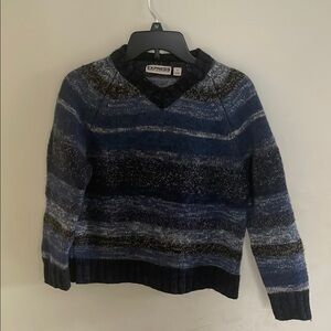 Express Blue and Black Striped Sweater